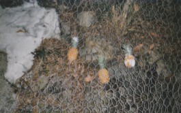 k ying wong, kei ying wong, kyingwong, artist filmmaker works, showcases,observing, judging you, website