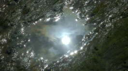 k ying wong, kei ying wong, kyingwong, artist filmmaker works, showcases,observing, judging you, website