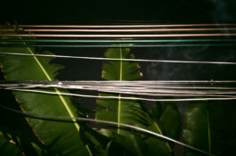  k ying wong, kei ying wong, kyingwong, artist filmmaker works, showcases,observing, judging you, website