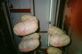 k ying wong, kei ying wong, kyingwong, artist filmmaker works, showcases,observing, judging you, website