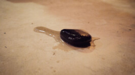 k ying wong, kei ying wong, kyingwong, artist filmmaker works, showcases,observing, judging you, website